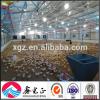 Steel structure farm broiler poultry house shed construction design chicken house