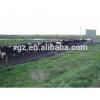 low cost advanced design cow farm building automtic equipments