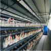 modern design prefab chicken layer cage #1 small image