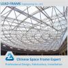 Long span steel space frame for roof structure