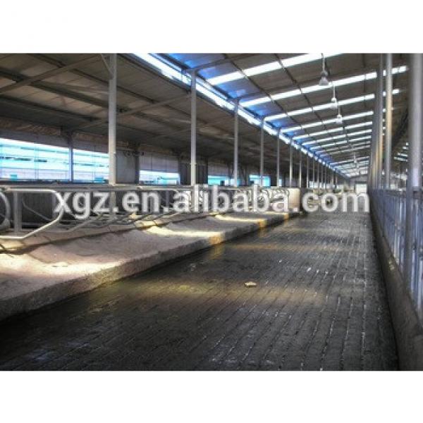 Steel structure Cow shed #1 image