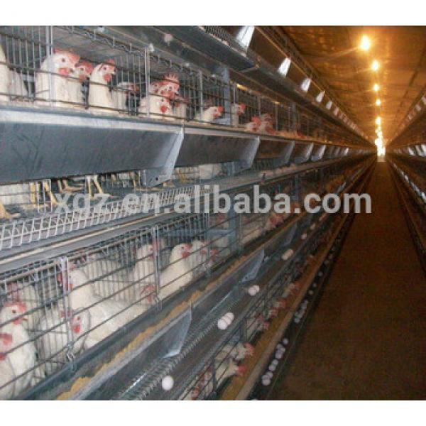 design High quality layer Automatic machine and cage breeds of broiler chickens #1 image