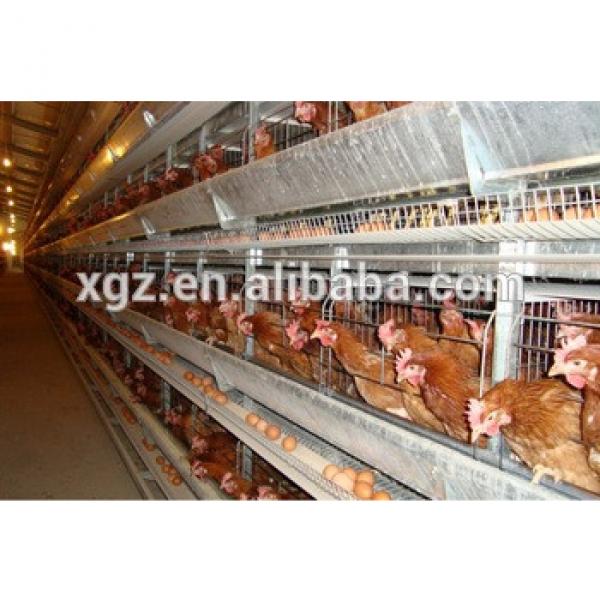 cheap steel structure automatic chicken layer cage for sale in philippine #1 image