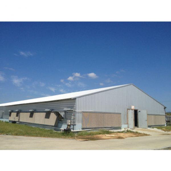 steel structure poultry building with full automatic equipment #1 image