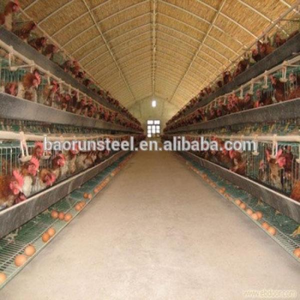 China steel structure building prefab house and land chicken farm #1 image