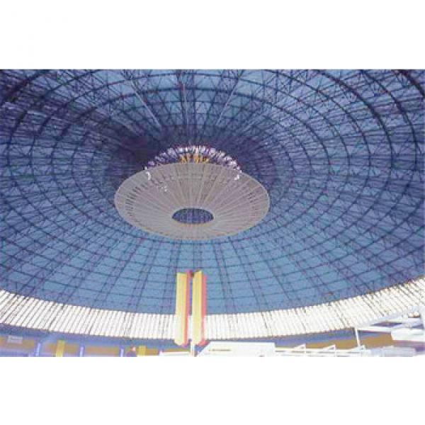 Large Span Space Frame Steel Construction Conference Hall Design #1 image